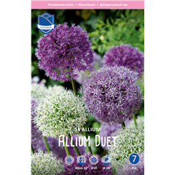 Микс Аллиумов Дуэт