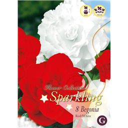 Микс бегоний Махровых Красно-Белых