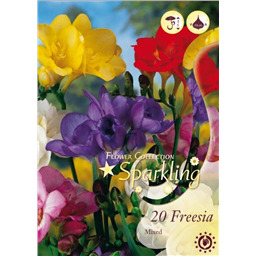 Микс Фрезий (Махровых)