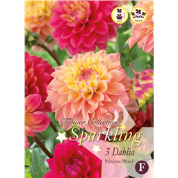 Микс георгин Принцесса