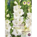 Микс гладиолусов Белых