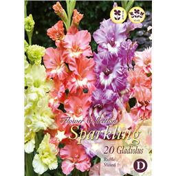 Микс гладиолусов Гофрированных