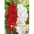 Микс гладиолусов Кросно-Белых