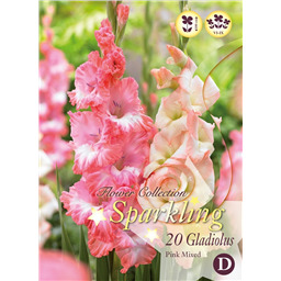 Микс гладиолусов Розовых