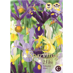 Микс Ирисов (Голландских)