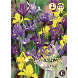 Микс Ирисов (Ретикулата)