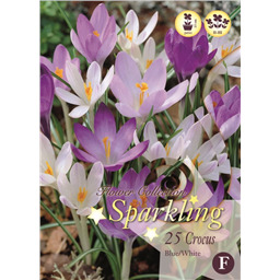 Микс крокусов ( Голубых/Белых)