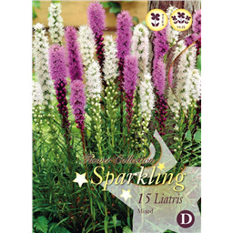 Микс  Лиатрисов