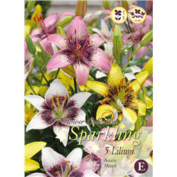 Микс лилий Пиксел