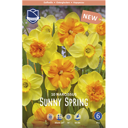 Микс Нарциссов Санни Спринг