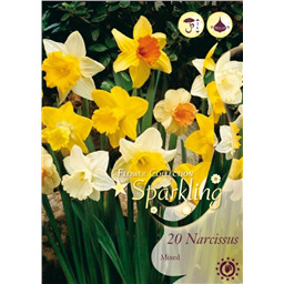 Микс нарциссов (Трубчатых)