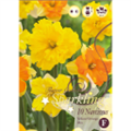 Микс нарциссов (Желто-Оранжевых)