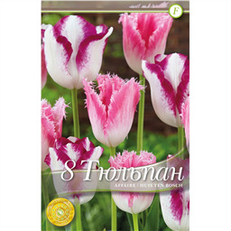 Микс тюльпанов (Аффэр/Хьюс Тен Бош)