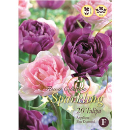 Микс тюльпанов (Анжелик, Блю Даймонд)