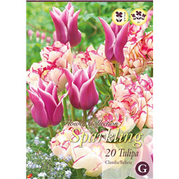 Микс тюльпанов (Билициа, Клаудиа)