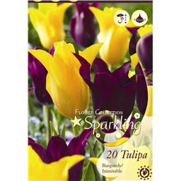 Микс тюльпанов (Бургунди, Лнимитабл)