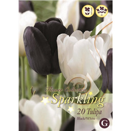 Микс тюльпанов (Черно-Белых)