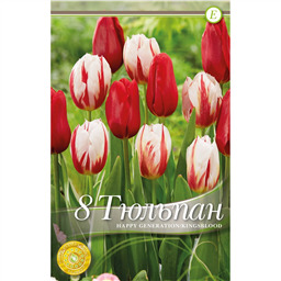 Микс тюльпанов (Хеппи Дженерейшн/Кингсблад)