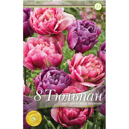 Микс тюльпанов (Коламбус/Блю Даймонд)