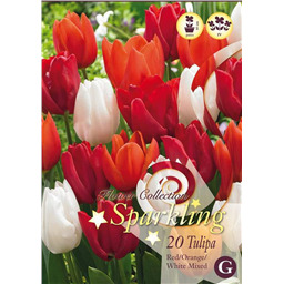 Микс тюльпанов (Красно-Оранжевых, Белых)