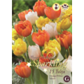 Микс тюльпанов (Оранжево-Желтых, Белых)
