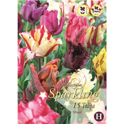 Микс тюльпанов (Попугайные)