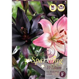 Микс лилий Азиатских Черно Розовых