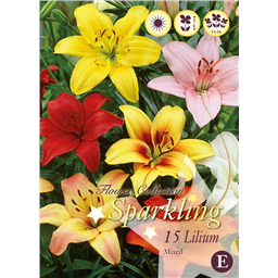 Микс лилий Смесь Азиатских
