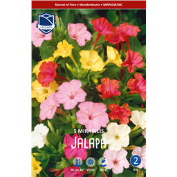 Мирабилис Ялама