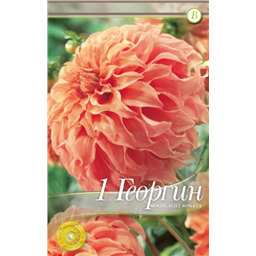 Мунлайт Соната