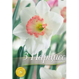 Нарцисс Джанис Бабсон