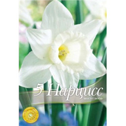 Нарцисс Маунт Худ