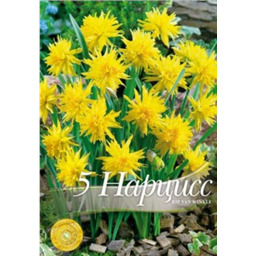 Нарцисс Рип ван Винкл