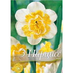 Нарцисс Вайв