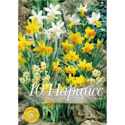 Нарциссы смесь