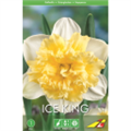 Нарцисс  Айс Кинг(упаковка мини)