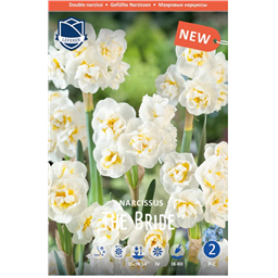 Нарцисс Бридал Кроун