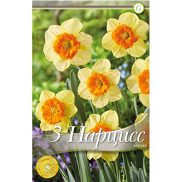 Нарцисс Булли