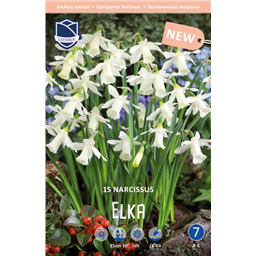 Нарцисс Элка