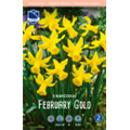 Нарцисс Фебруари Голд
