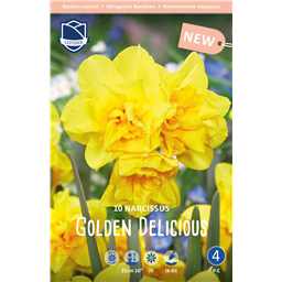 Нарцисс Голден Делишез