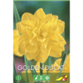 Нарцисс  Голден Дукат(упаковка мини)