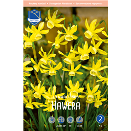 Нарцисс Хавьера