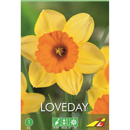 Нарцисс  Лавдей(упаковка мини)