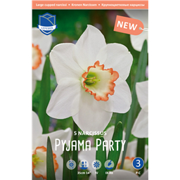 Нарцисс Пижама Пати