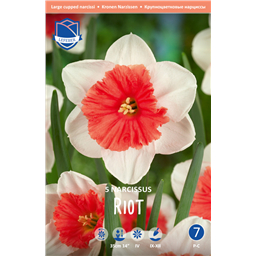 Нарцисс Райот