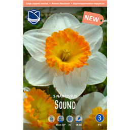 Нарцисс Саунд