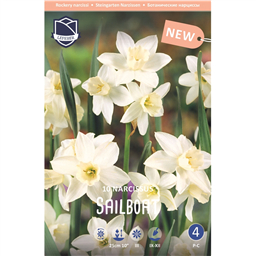 Нарцисс Сэйлбоут
