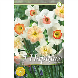 Нарцисс Смесь Розовых