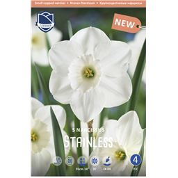 Нарцисс Стейнлесс